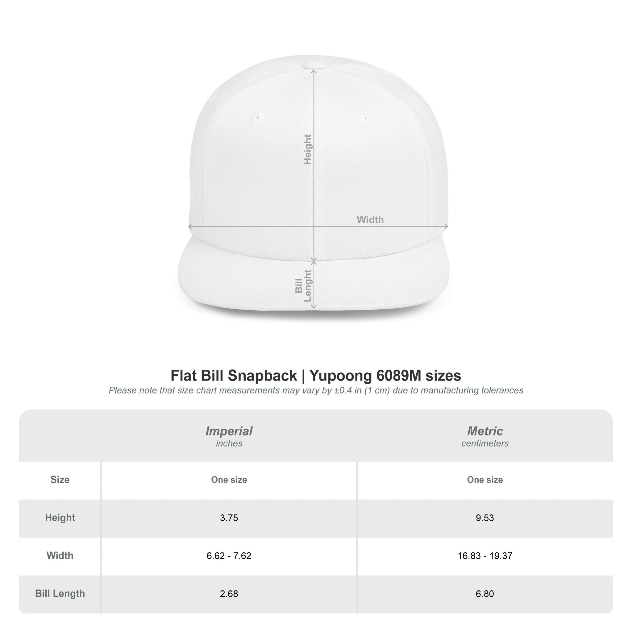 Distressed Snapback Hat — *Rise* Logo Flat Bill