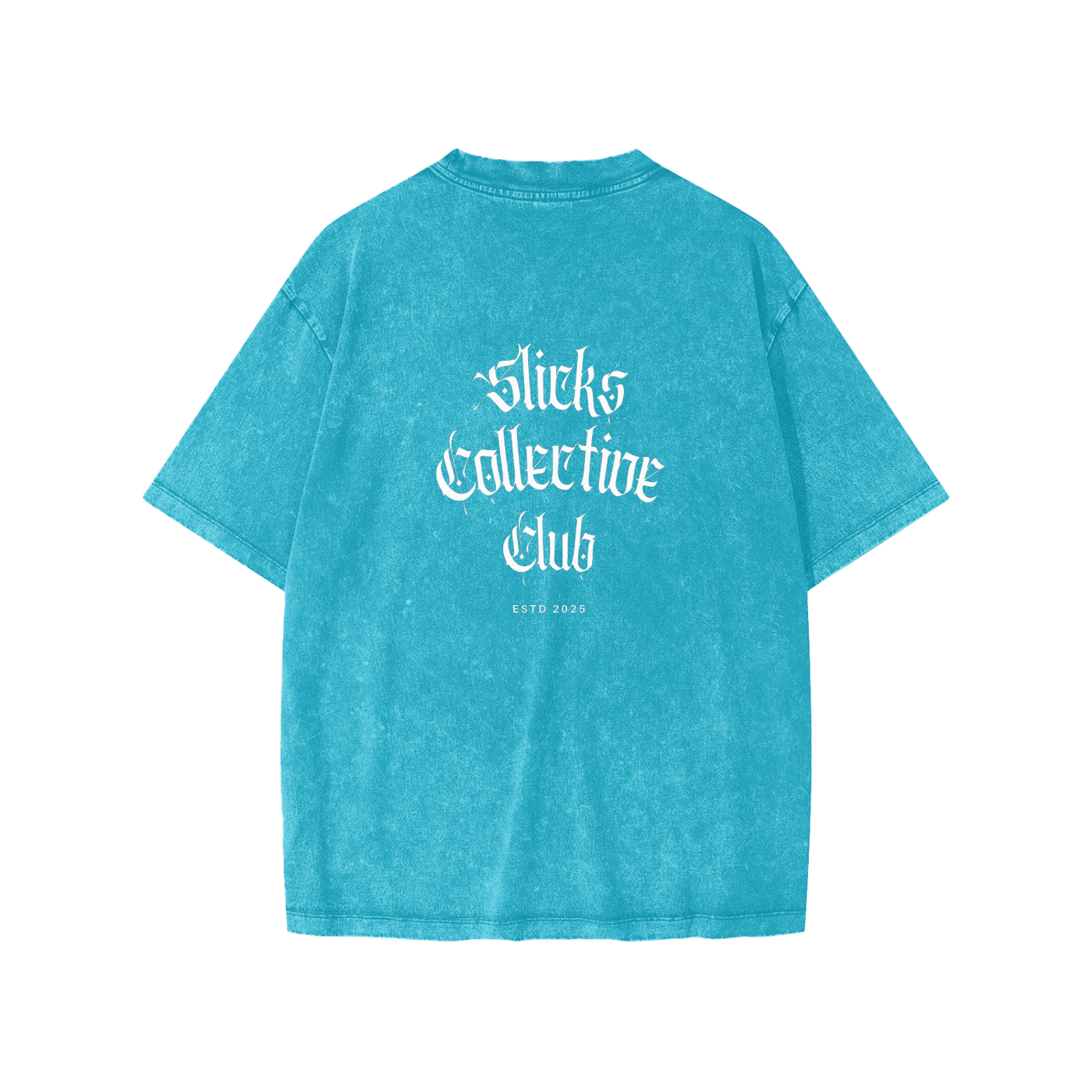 Snow Washed Tee - *SCC*