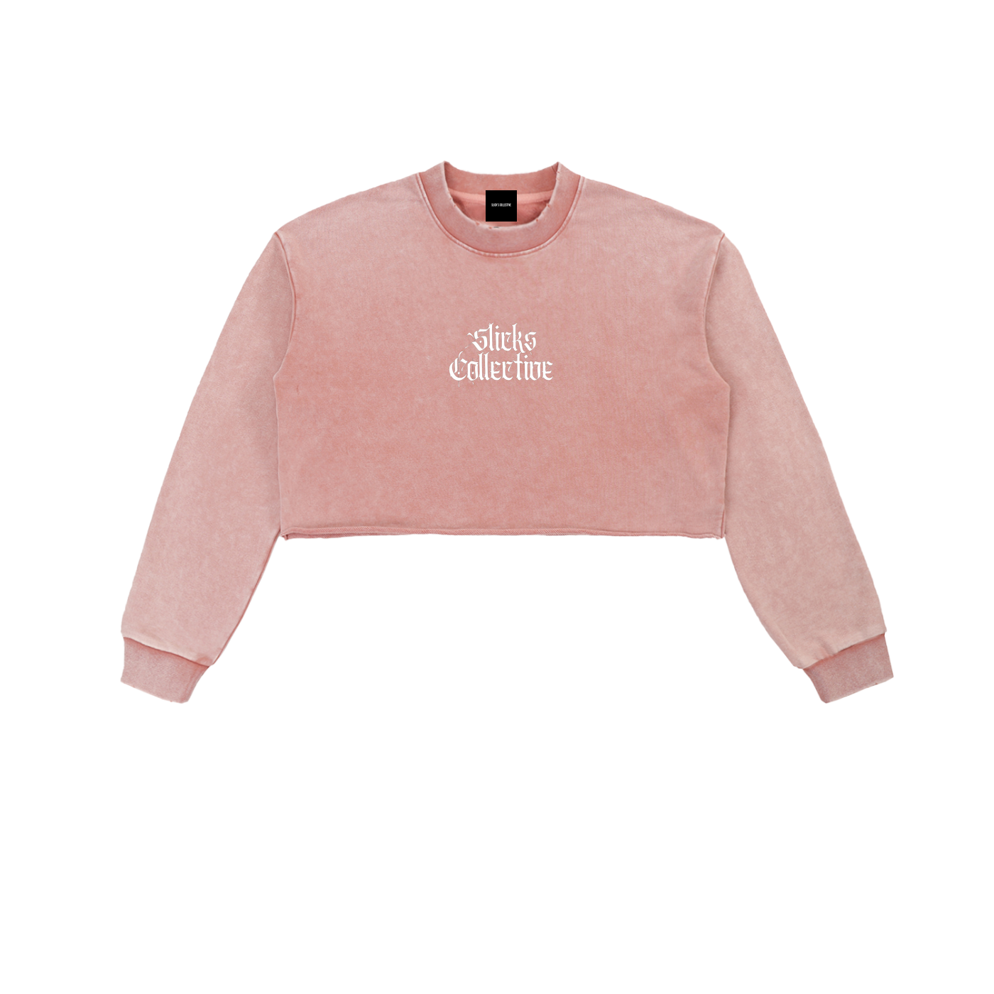 Snow Washed Cropped Sweatshirt - *Signature*